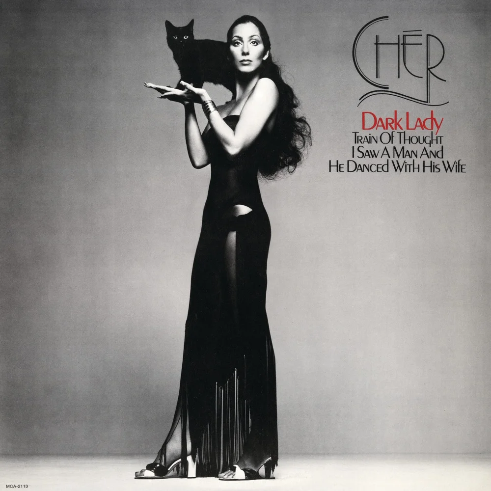 Dark Lady by Cher