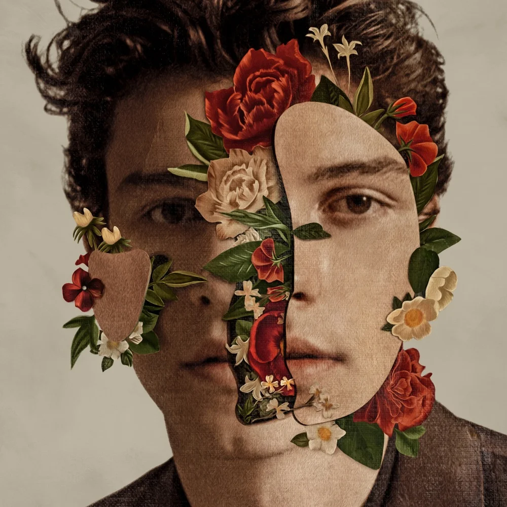 If I Can't Have You by Shawn Mendes
