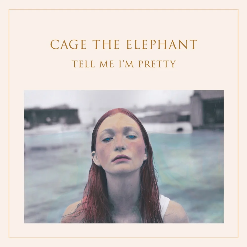 Album cover for Trouble by Cage the Elephant