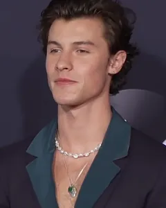 Shawn Mendes
